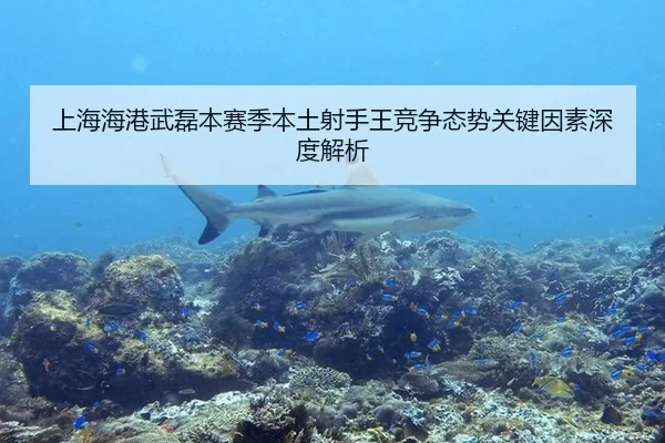 上海海港武磊本赛季本土射手王竞争态势关键因素深度解析