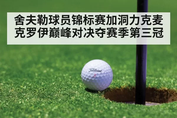 舍夫勒球员锦标赛加洞力克麦克罗伊巅峰对决夺赛季第三冠